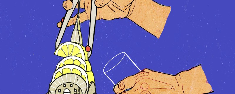 arquitectura-limon-ilustracion